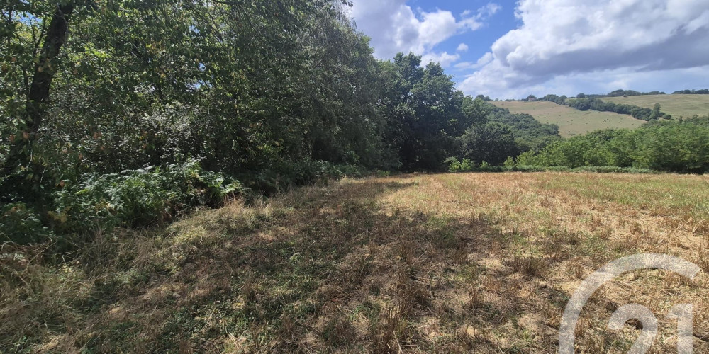 terrain à SALIES DE BEARN (64270)